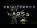 お月見野点トーク 登録5000人突破記念 茶箱月点前 茶会 : Moon Viewing Celebrating 5000 registered users Tea Ceremony