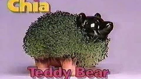 Original  Chia Pet Commercal