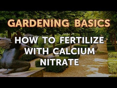 Video: Šta je kalcijum nitrat: kada koristiti kalcijum nitrat u bašti