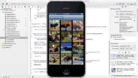 iOS Development - Media Library Tutorial | In-App Gallery
