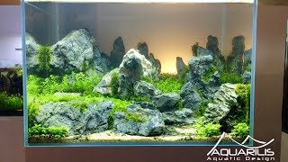 Aquascape "Sunset" - Aquarium decor by Laurent Garcia - Aquarilis