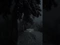 إذا سمعت بصوت الشيخ عبد الله الموسي ستبكي روحك قبل عينيك سوره طه