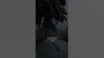 "إذا سمعت بصوت الشيخ عبد الله الموسي... ستبكي روحك قبل عينيك 🕊️ (سوره طه)