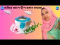 Photo Manipulation in Canva | কফির কাপে দ্বীপ বসান সহজে 🌴☕ | Island in Coffee Cup Effect