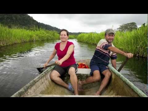 Video: Dokumentarfilm Fördert Bewusstes Reisen In Costa Ricas Osa Peninsula - Matador Network