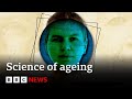 How to live longer according to science  bbc news