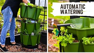 Greenstalk Watering System (Preparing for an amazing gardening season)