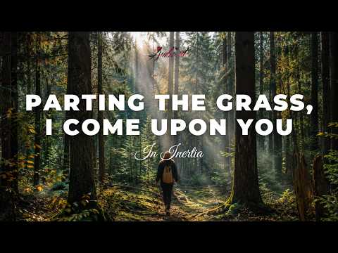 In Inertia - Parting the grass, I come upon you [ambient cinematic postrock]