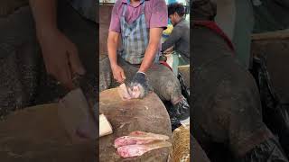 KASIMEDU FRESH FISH CUTTING🔥