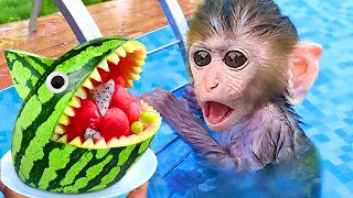 Baby Monkey Chu Chu eats watermelon ice cream with puppies and swims with duckling in the pool