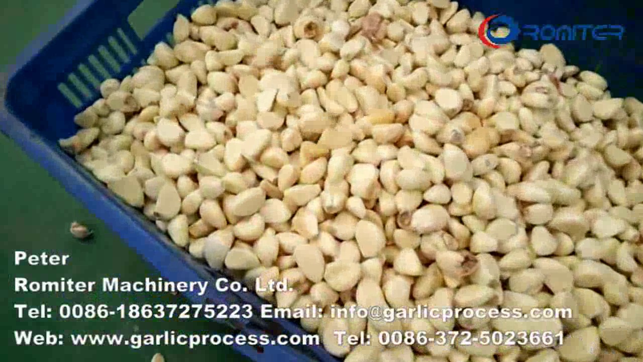 Automatic Peeled Garlic Clove Sorting Machine