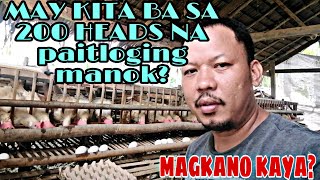Magkano ba ang kinikita ko sa pag aalaga ng 200 heads na paitloging manok / backyard poultry farming