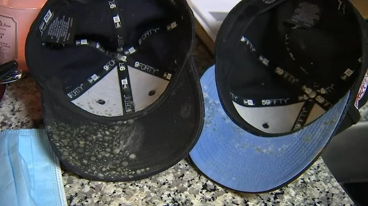 Mold in your apartment? Here's what you can do about it