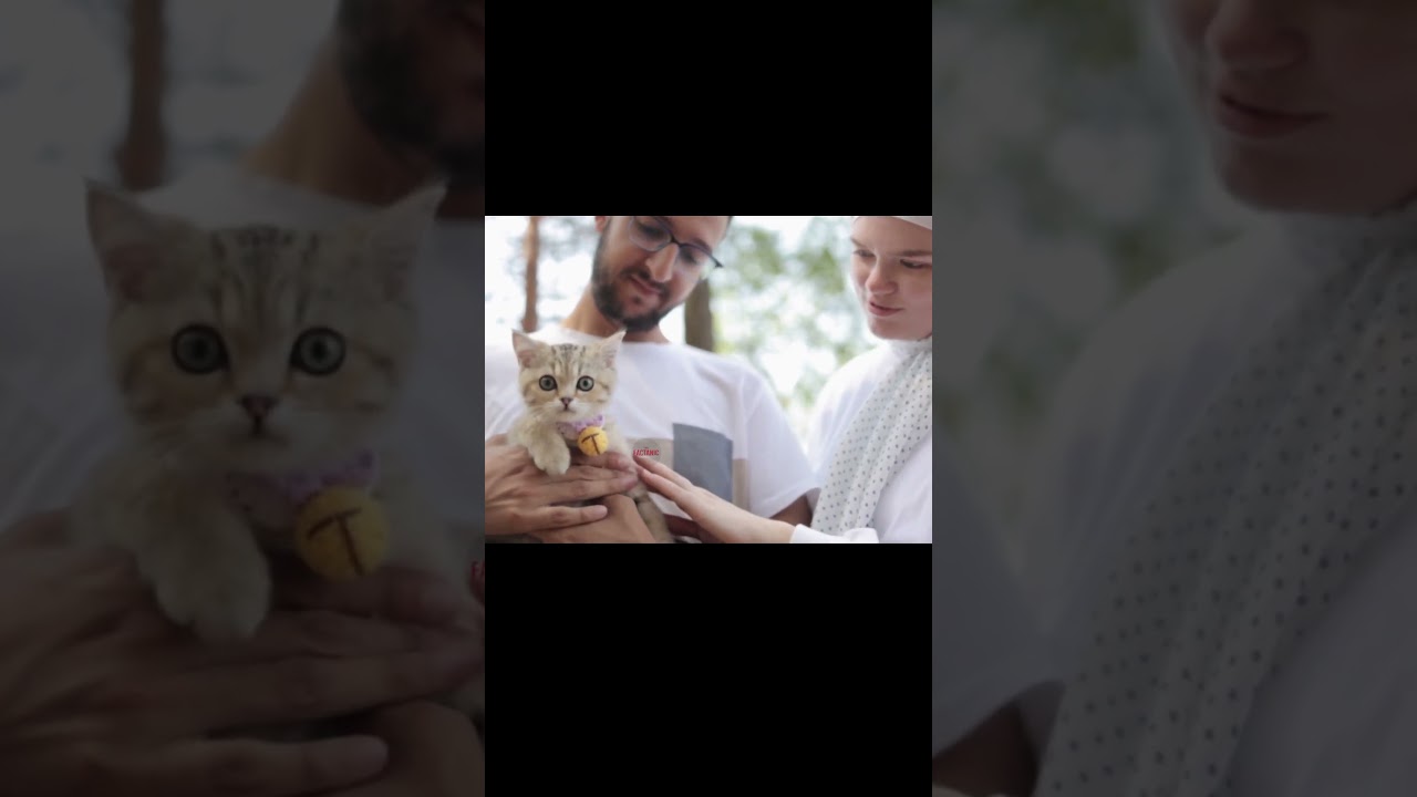 😱 Weirdest Marriages in the World – Part 1 | Man Married Robot ! 