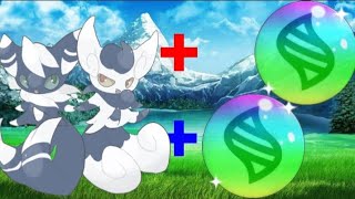 What I meostic Had A Mega😍Evolution |20k Special Vedio | RisingPoketuber24 |#pokemon