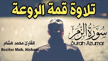 صدقني !! تلاوة تريح البال ⬅️ جمال الصوت 💔  || سورة الزمر- القارئ محمد هشام ❤️
