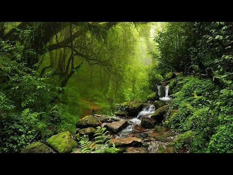 Amazonlar  | Belgesel HD