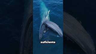 Fascinating Facts about Animals