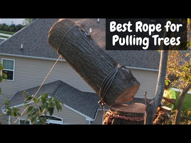 Best Rope for Pulling Trees - Top Stronger Rope for Pulling Anything 