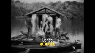 Dehes - Matahariku [lo-fi bootleg by fand]
