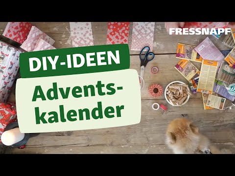 Video: Spielzeug & Snacks für Hunde zu Weihnachten