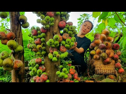 VIDEO FULL: 90 Days Gardening - Harvest agricultural products, fruits goes market sell