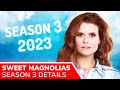 SWEET MAGNOLIAS Season 3 Release Set for 2023: Girl from the Past Comes Back to Settle Old Scores