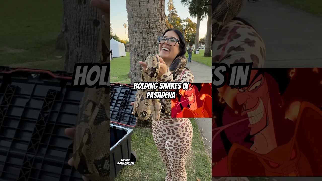 The biggest snakes i’ve ever held ! 🐍 #fypシ #ootd #viral #snakesoftiktok #animalsoftiktok