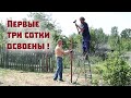 Освоили первые три сотки нового участка!