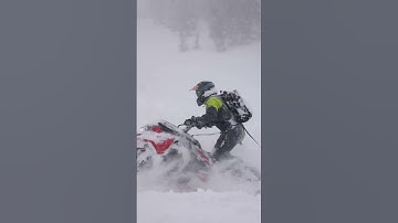 Lynx Snowmobiles Powder Days