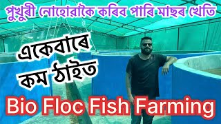 পুখুৰী নোহোৱাকৈ কৰিছে মাছৰ খেতি Business ideas IIBio Floc IIBio Floc Fish Farming in Assam॥Bio flog