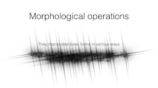 Morphology Part2