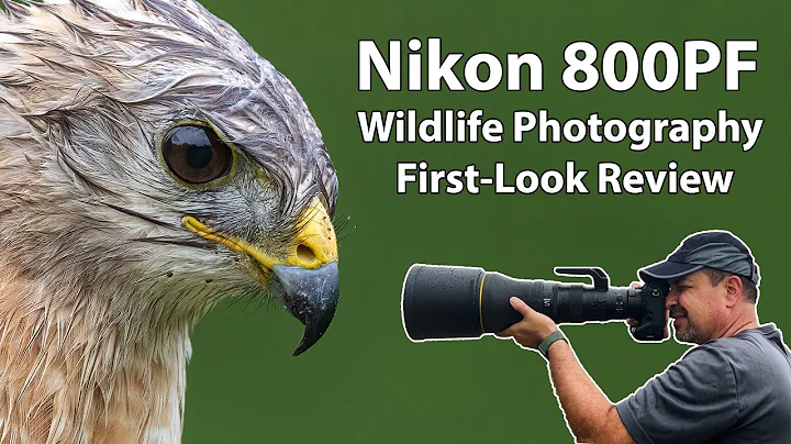 Nikon 800 PF Review For Wildlife Photography (first look)