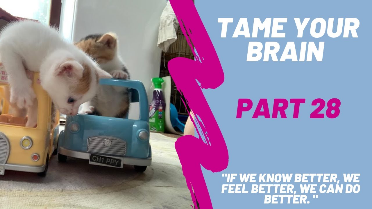 Tame Your Brain - How To Thrive Not Just Survive - Pt 28 - YouTube