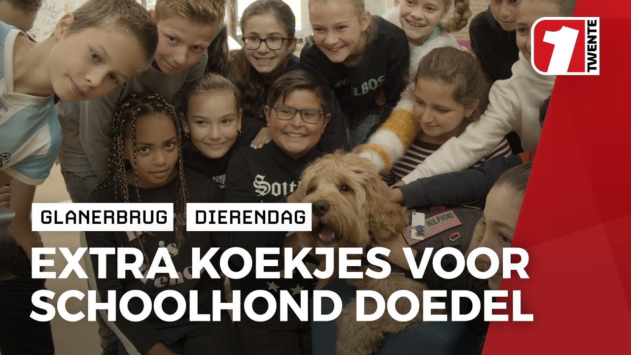 Schoolhond Doedel: één jaar in dienst