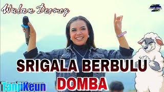 SERIGALA BERBULU DOMBA voc: Wulan Desmoy feat AKTOR MUDA MUSIK #dugemtanji