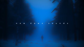 echoes of solitude. (playlist)