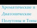 Хроматические и Диатонические Полутоны и Тоны