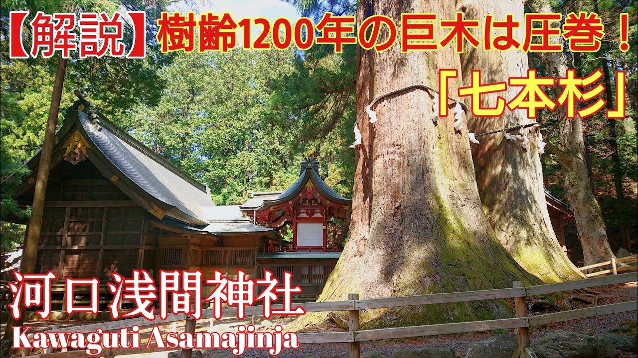 山梨 巨木と見所満載の世界遺産『河口浅間神社』パワースポット 母の白滝‼️