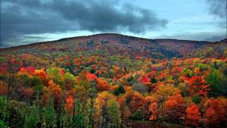 Download Lagu Father Tempo - Velocity (Original Mix) MP3