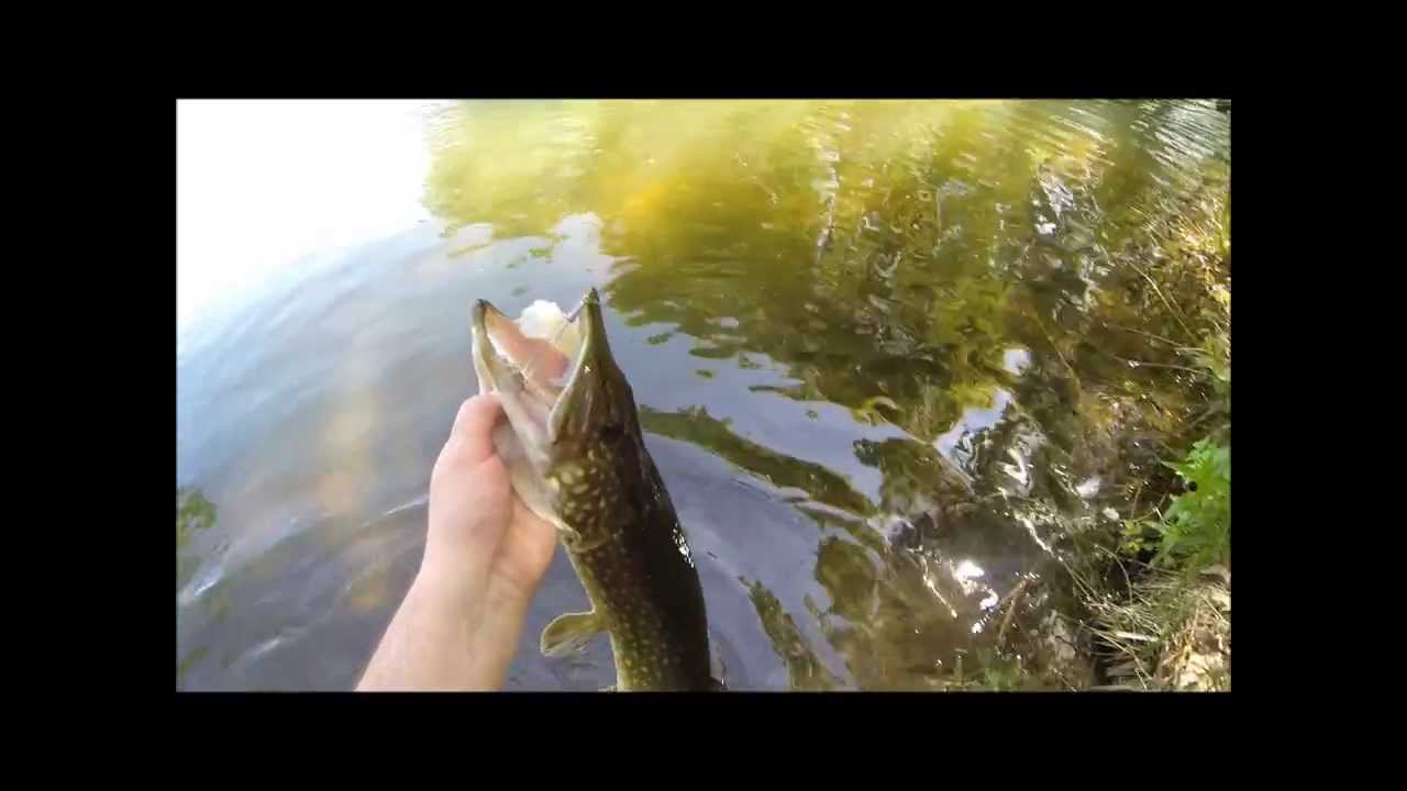 Savage Gear weedless Rigged Grub action