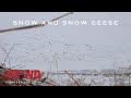 Snow and Snow Geese | The Grind S9:E13