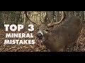 3 Things You're Doing Wrong with Deer Minerals