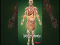 shocking Human body Facts😱. #youtubeshorts #informative #amazingfacts #bodyfacts