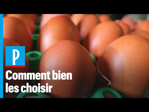 Vidéo: Comment Choisir Les œufs