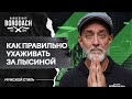 Как следить за лысой или бритой головой | Лайфхаки для лысых мужчин | Я Бородач  (12+)