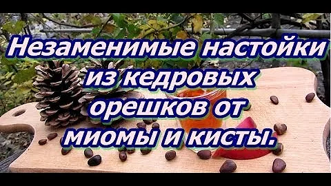 Незаменимые настойки из кедровых орешков от миомы и кисты