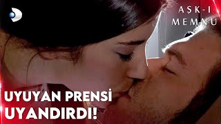 Nihal Behlül&#39;ü Uyurken Öptü! - Aşk-ı Memnu 49. Bölüm