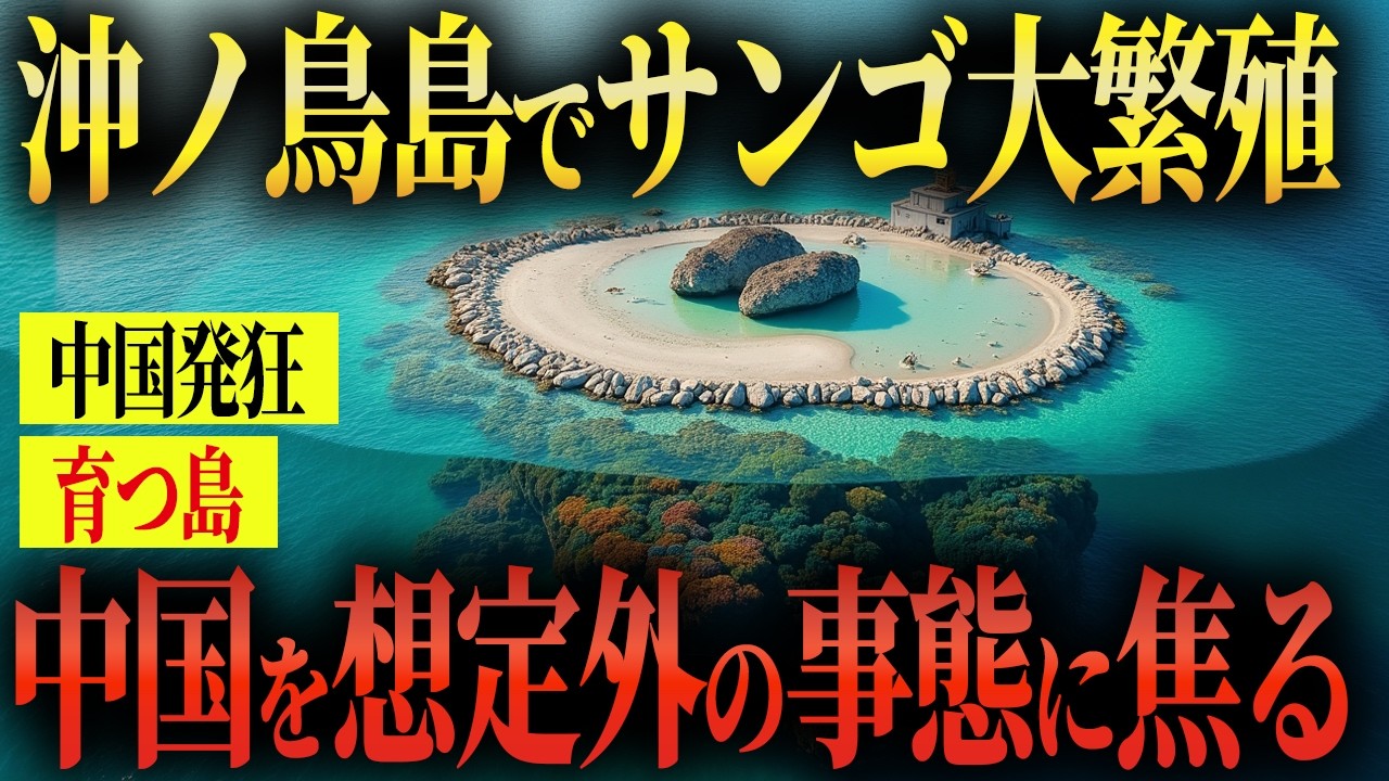 【衝撃】沖ノ鳥島で珊瑚大増殖！中国が恐れる