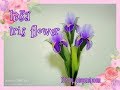 EP 94 :How to make stocking flower (Iris / ดอกไอริส) by ployandpoom (ผ้าใยบัว)